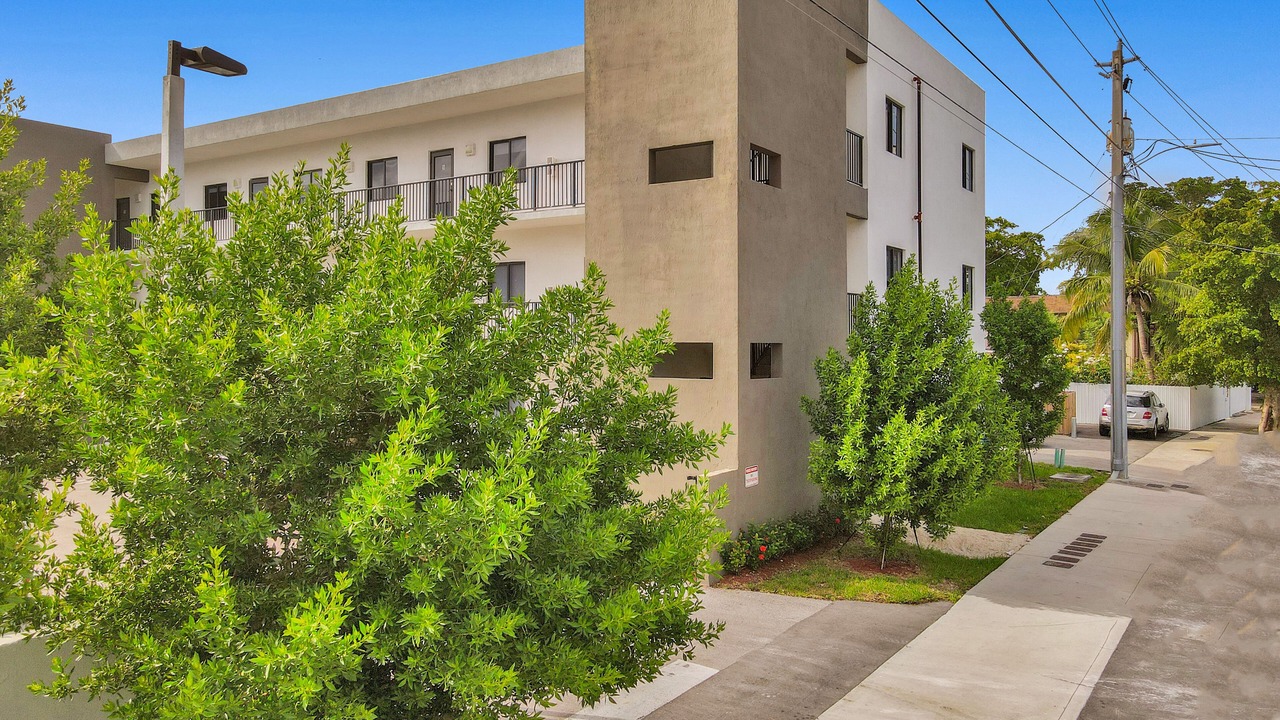 Photo of Outdoor in Allapattah