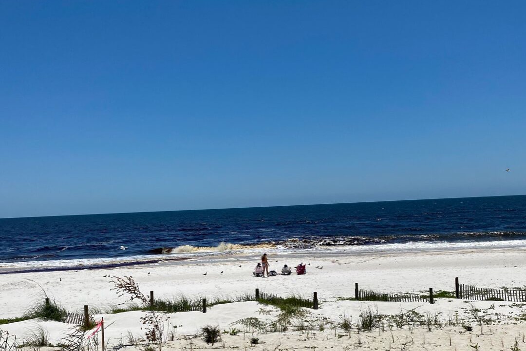 Photo of Others in Mexico Beach