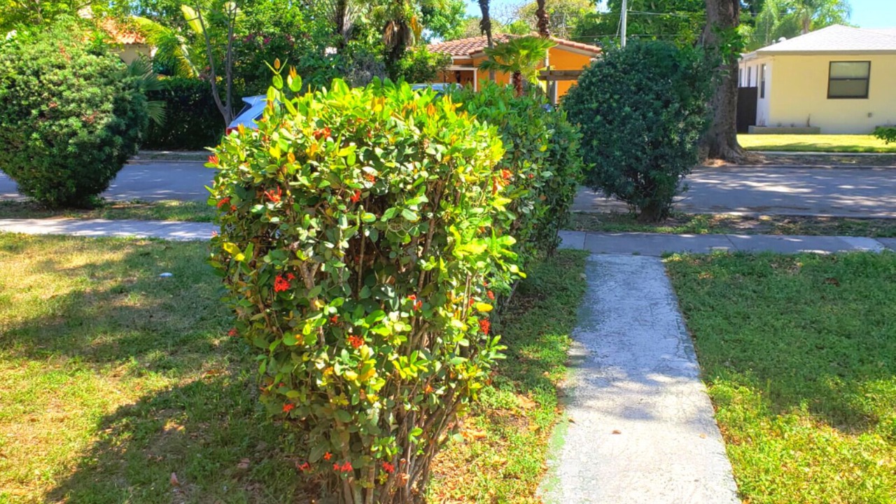 Photo of Outdoor in Parkside