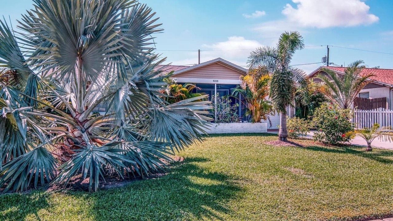 Photo of Outdoor in Pinellas Park