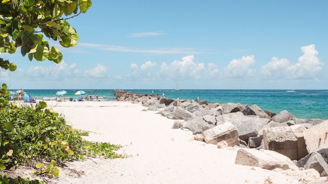 Photo of Others in Indian River Estates