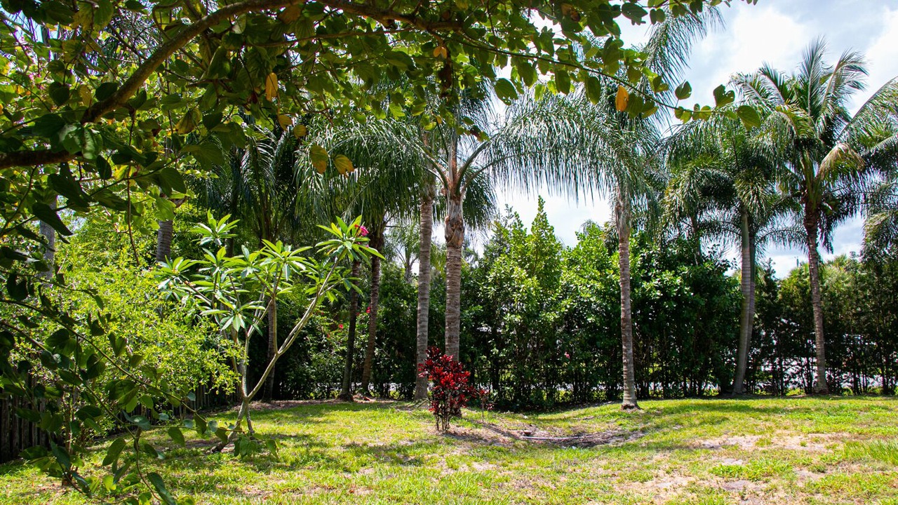 Photo of Others in Indian River Estates