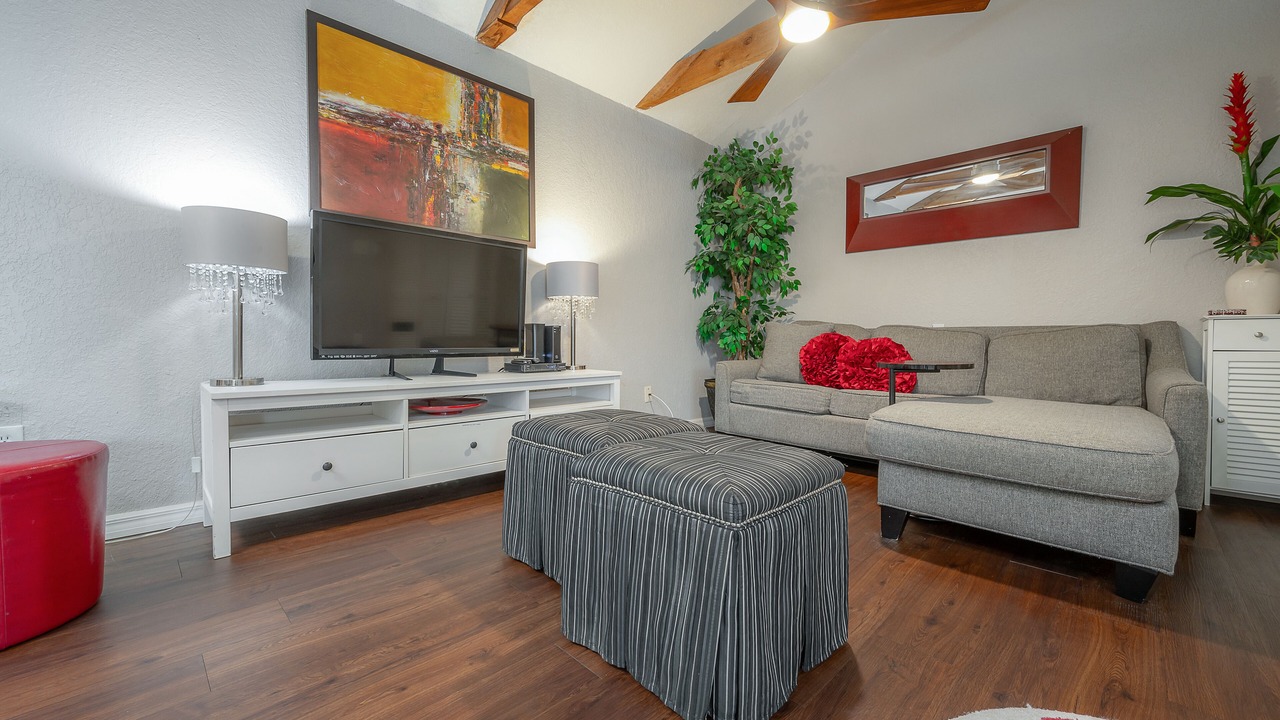 Photo of Livingroom in Seminole Heights
