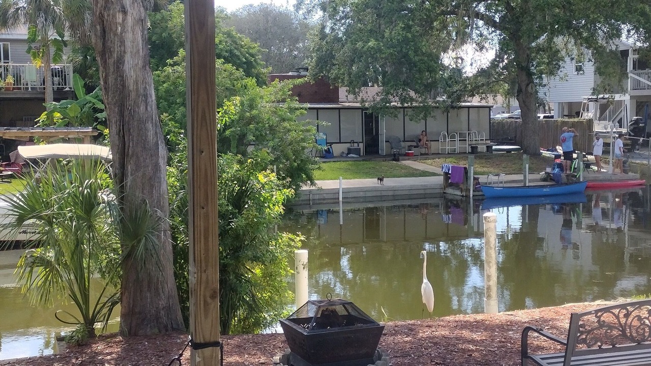 Photo of Others in Weeki Wachee Gardens