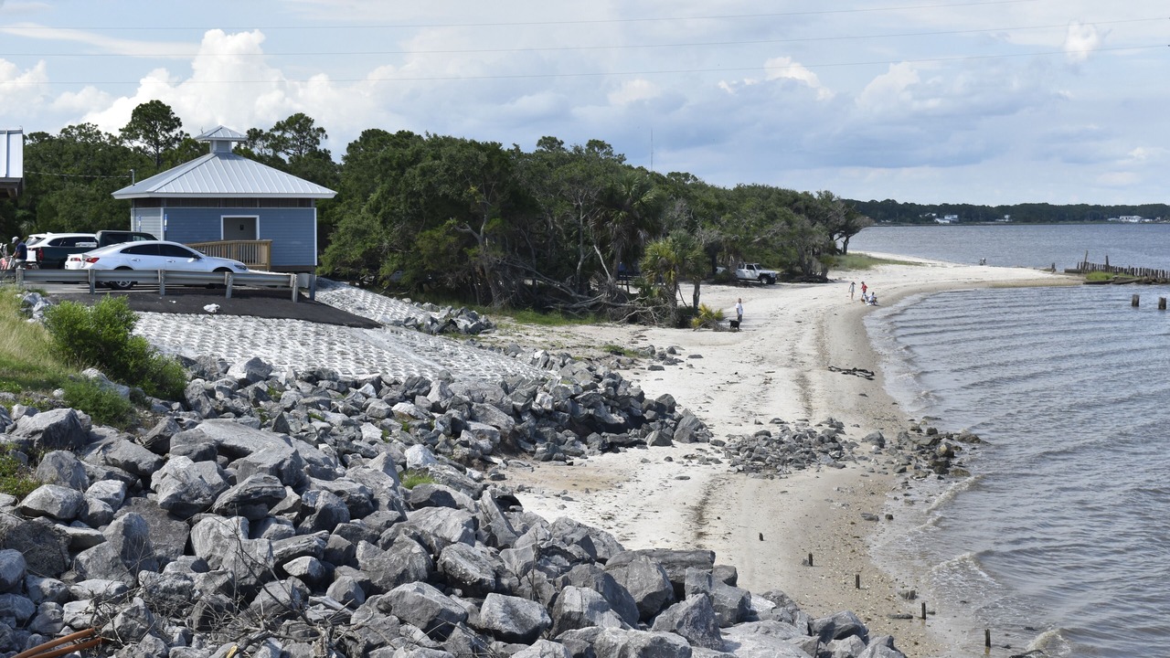 Photo of Others in Magnolia Bluffs