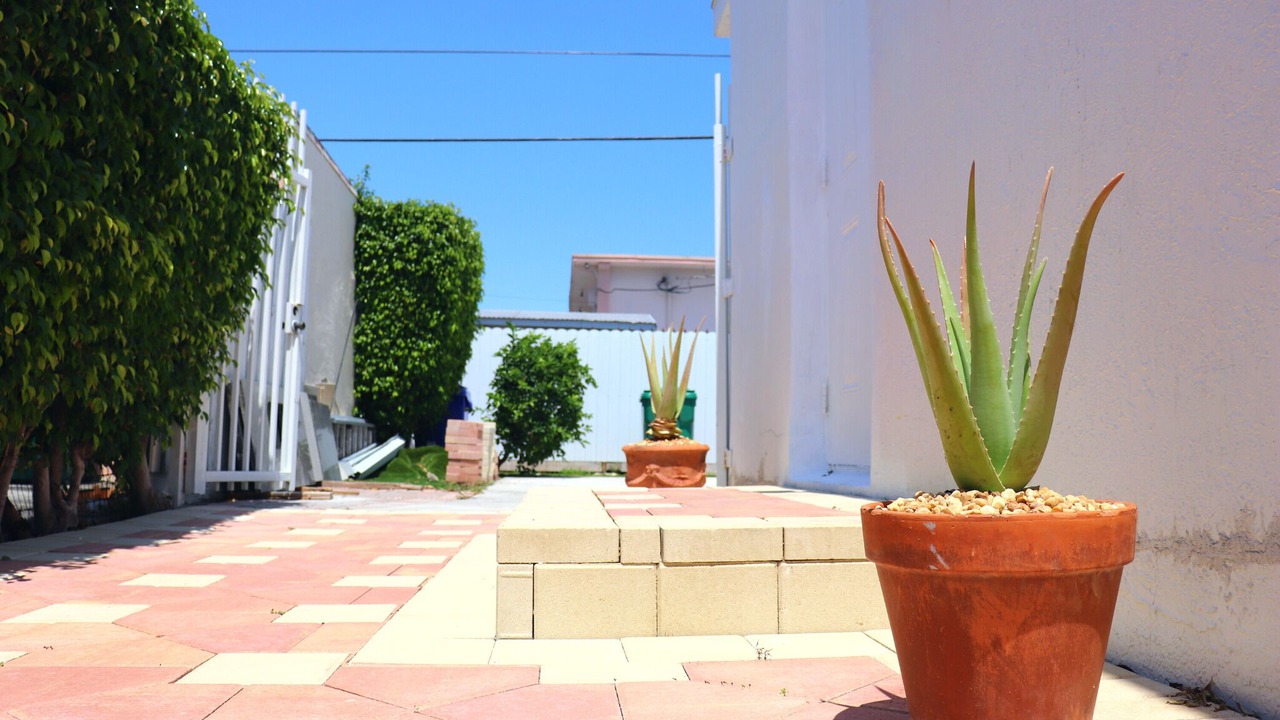 Photo of Outdoor in Little Havana