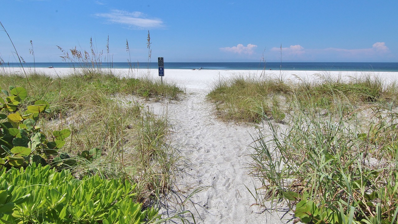 Photo of Others in Belleair Beach