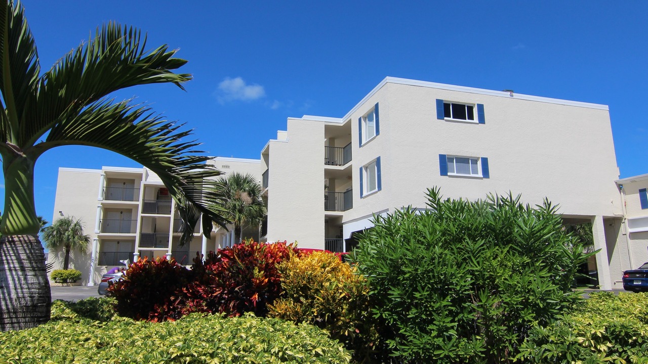 Photo of Outdoor in Belleair Beach
