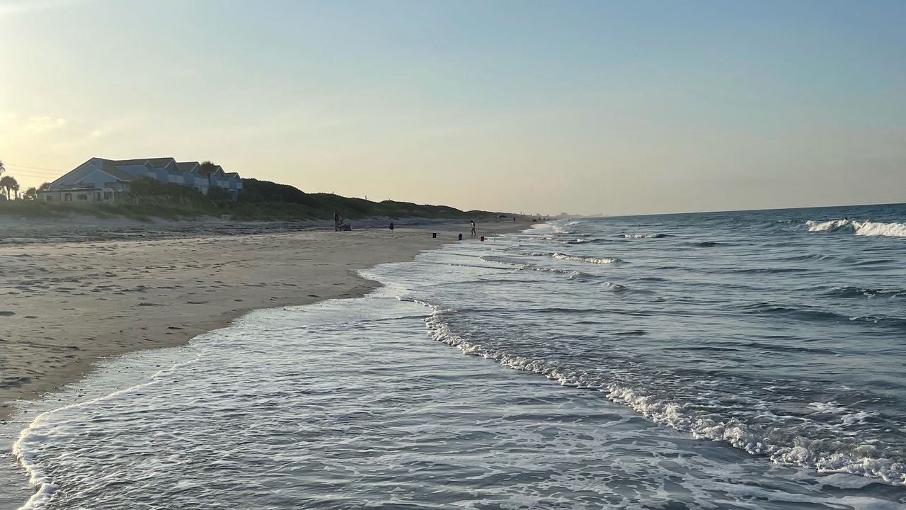 Photo of Others in Melbourne Beach