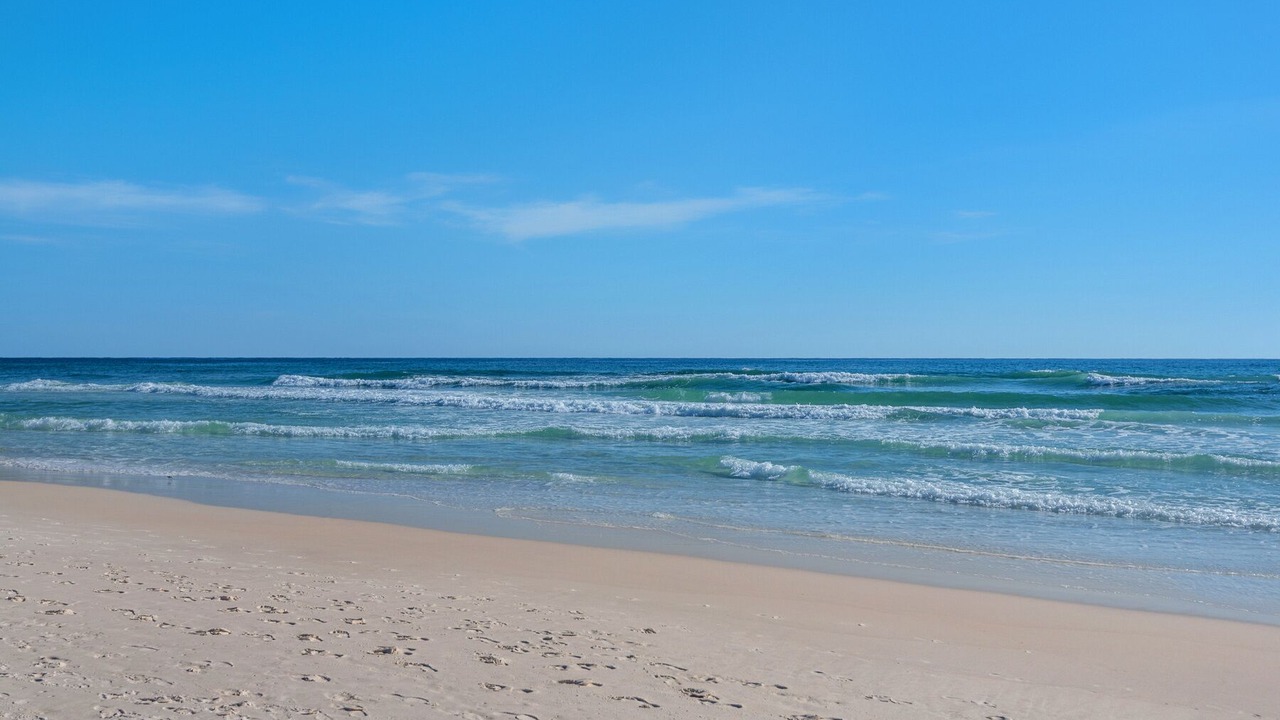 Photo of Others in Miramar Beach