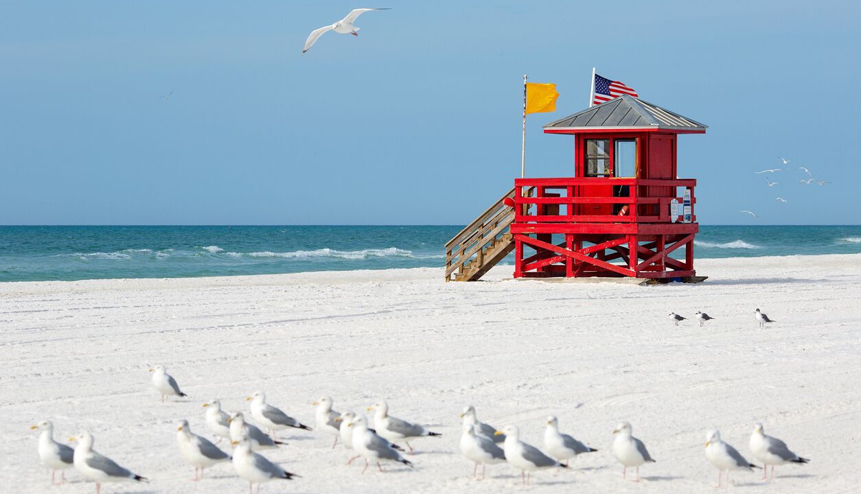 Photo of Others in Siesta Key