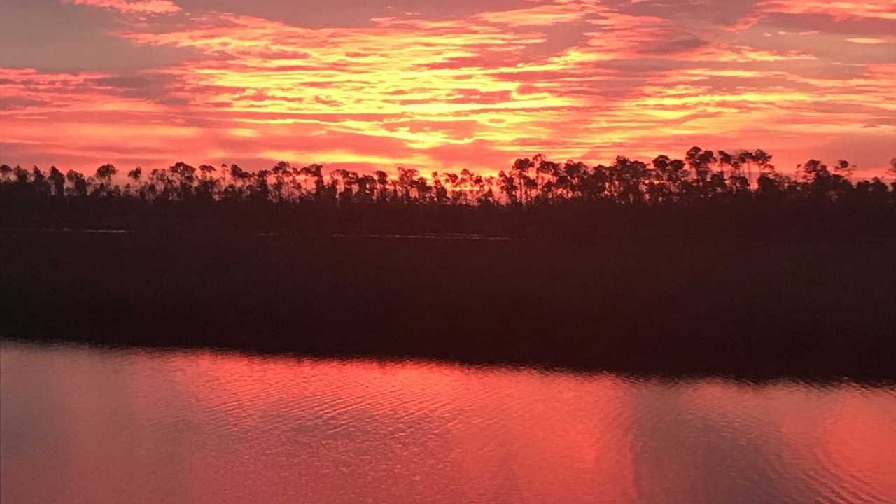 Photo of Others in Gulf County