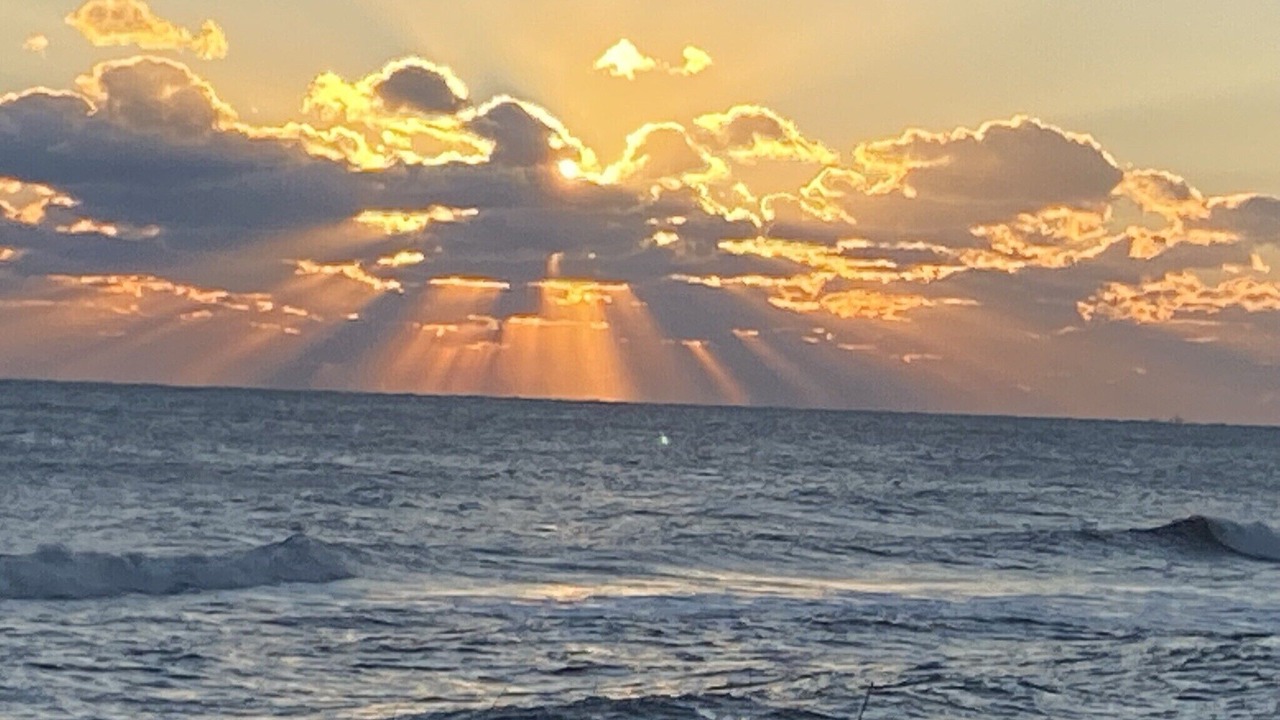 Photo of Others in Flagler Beach