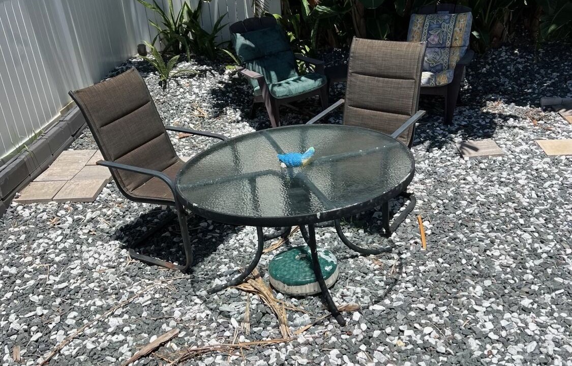Photo of Outdoor in Flagler Beach