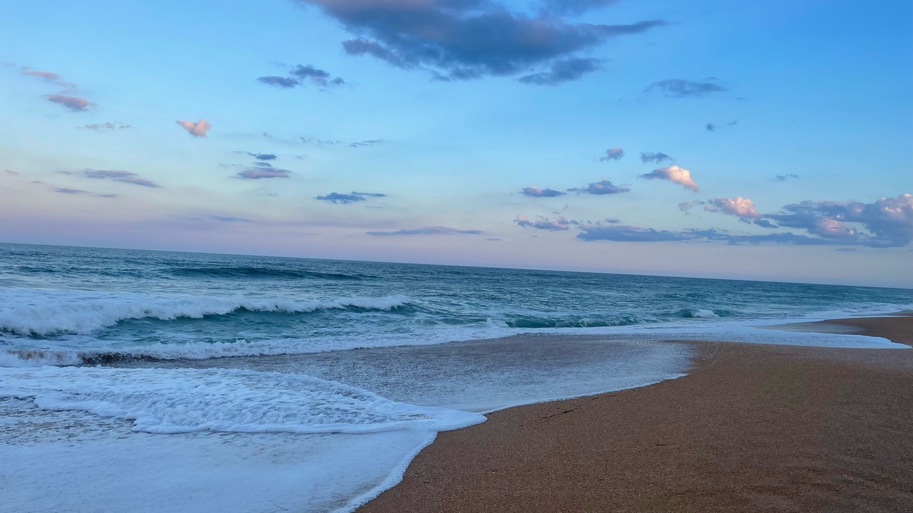 Photo of Others in Flagler Beach