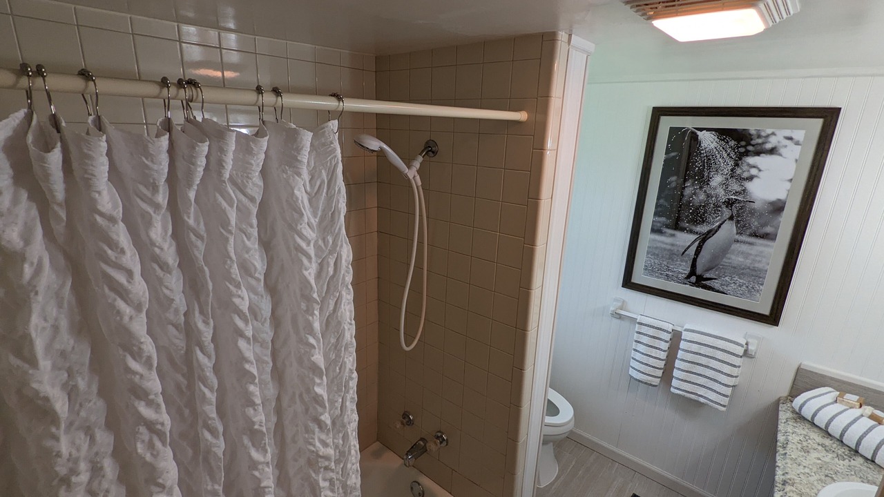 Photo of Bathroom in Pinellas Park