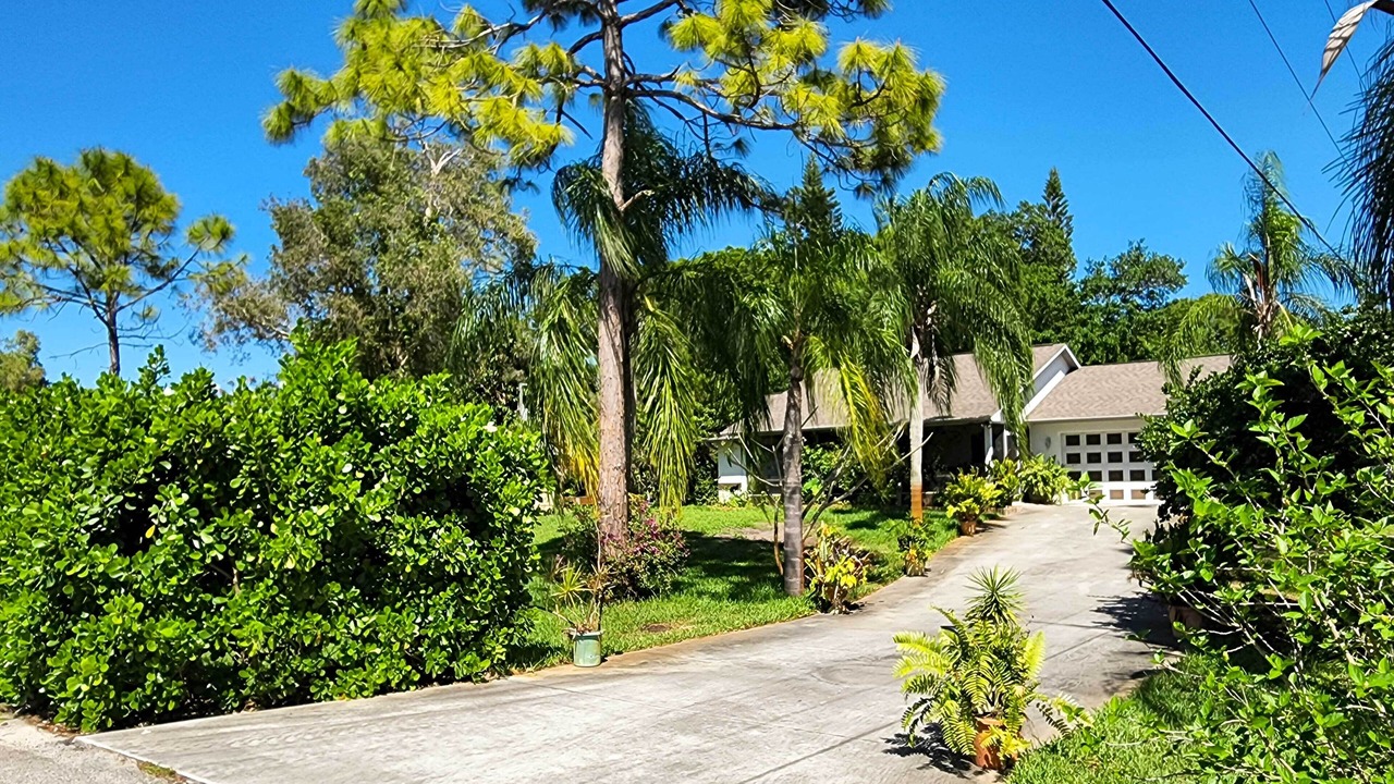 Photo of Outdoor in San Carlos Park