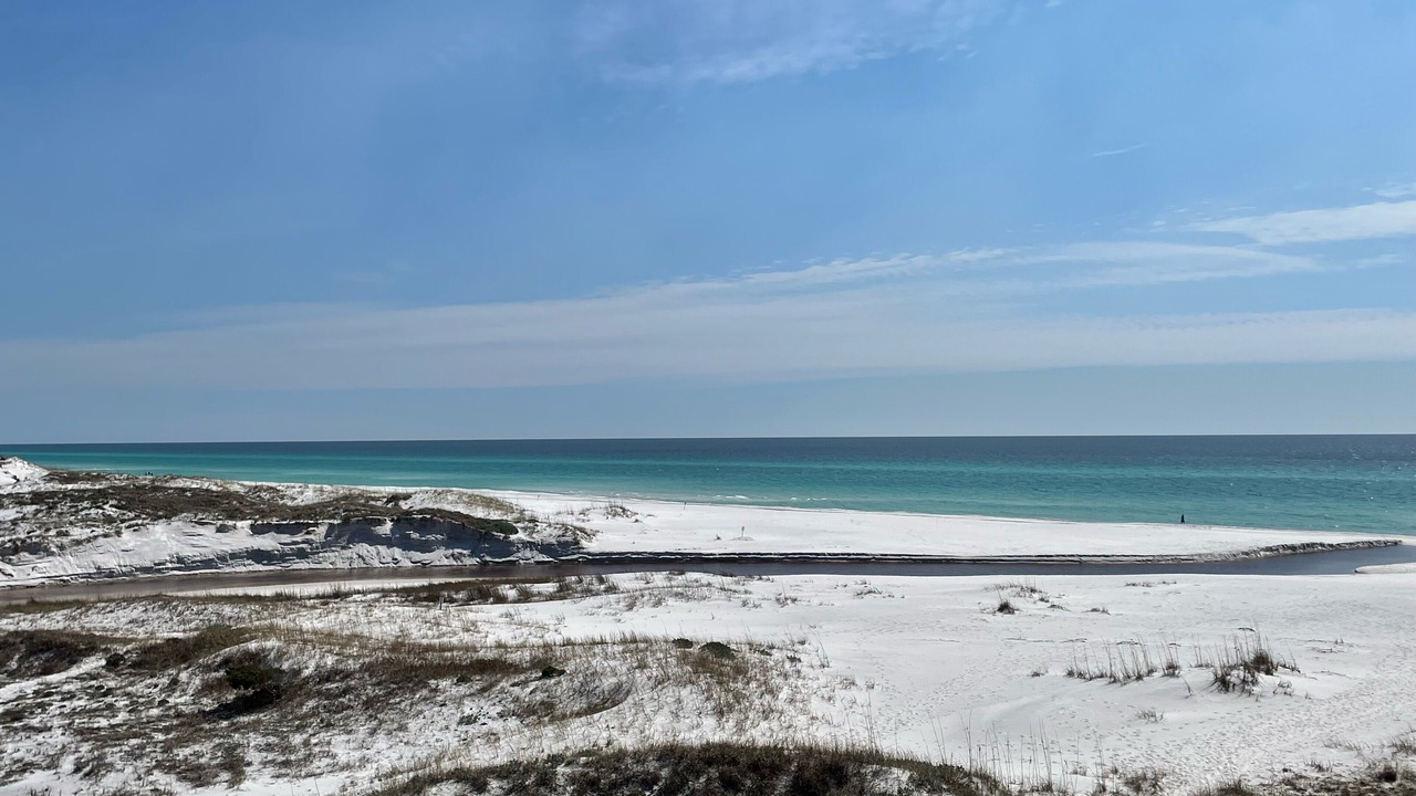 Photo of Others in Gulf Trace