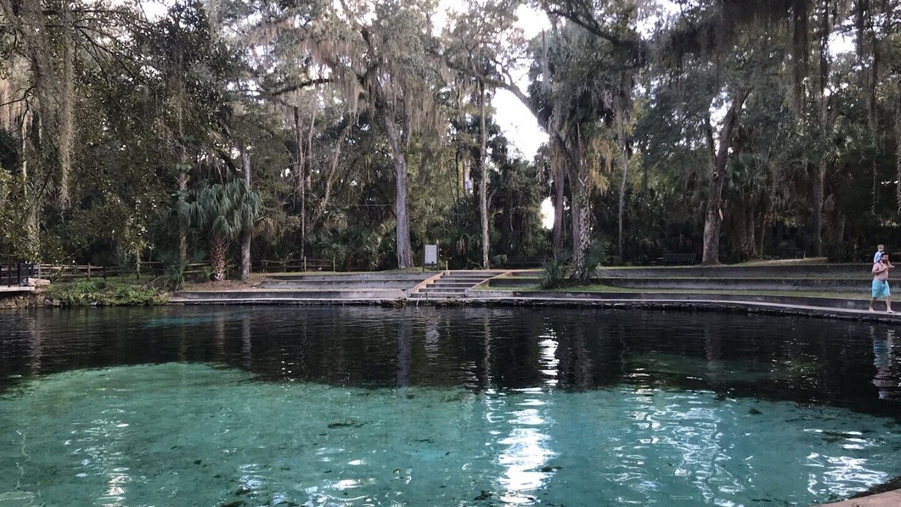 Photo of Others in Salt Springs
