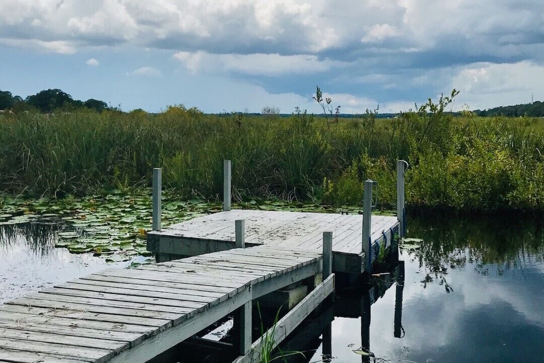 Photo of Outdoor in Salt Springs