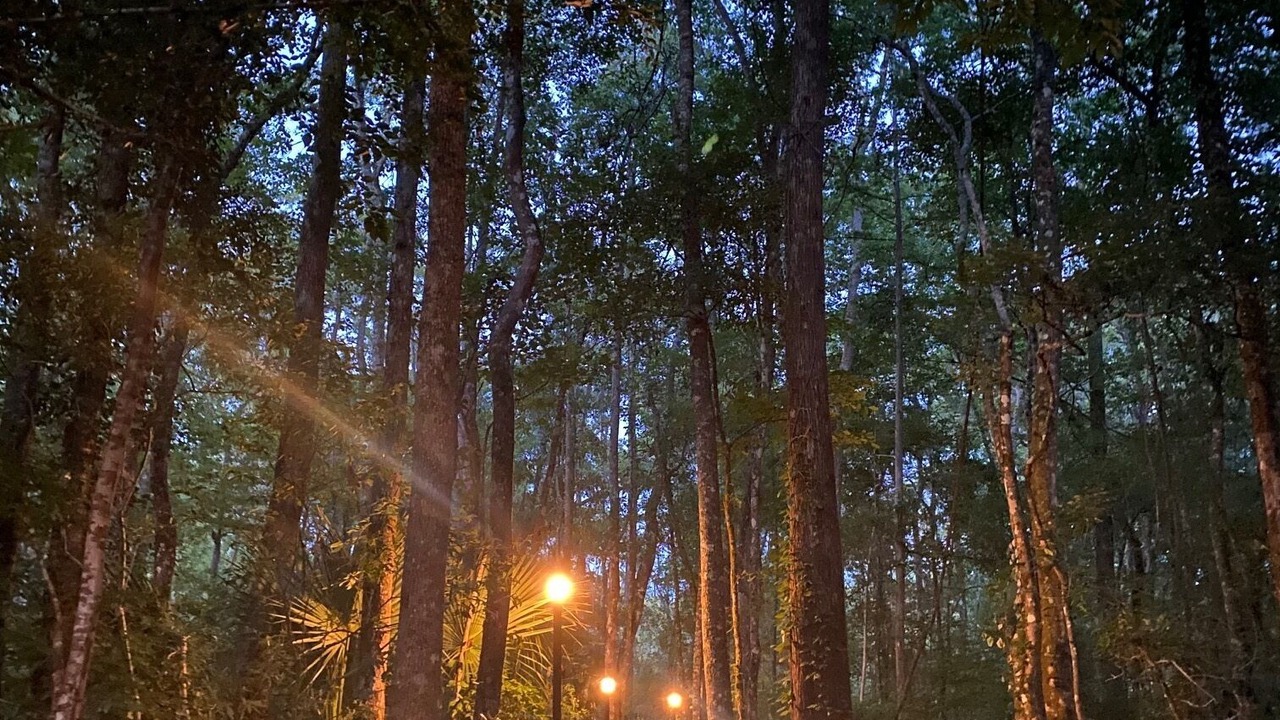 Photo of Others in Crawfordville