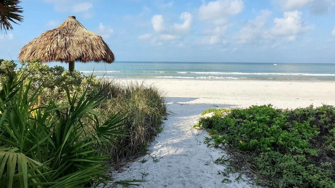 Photo of Others in Mid Island