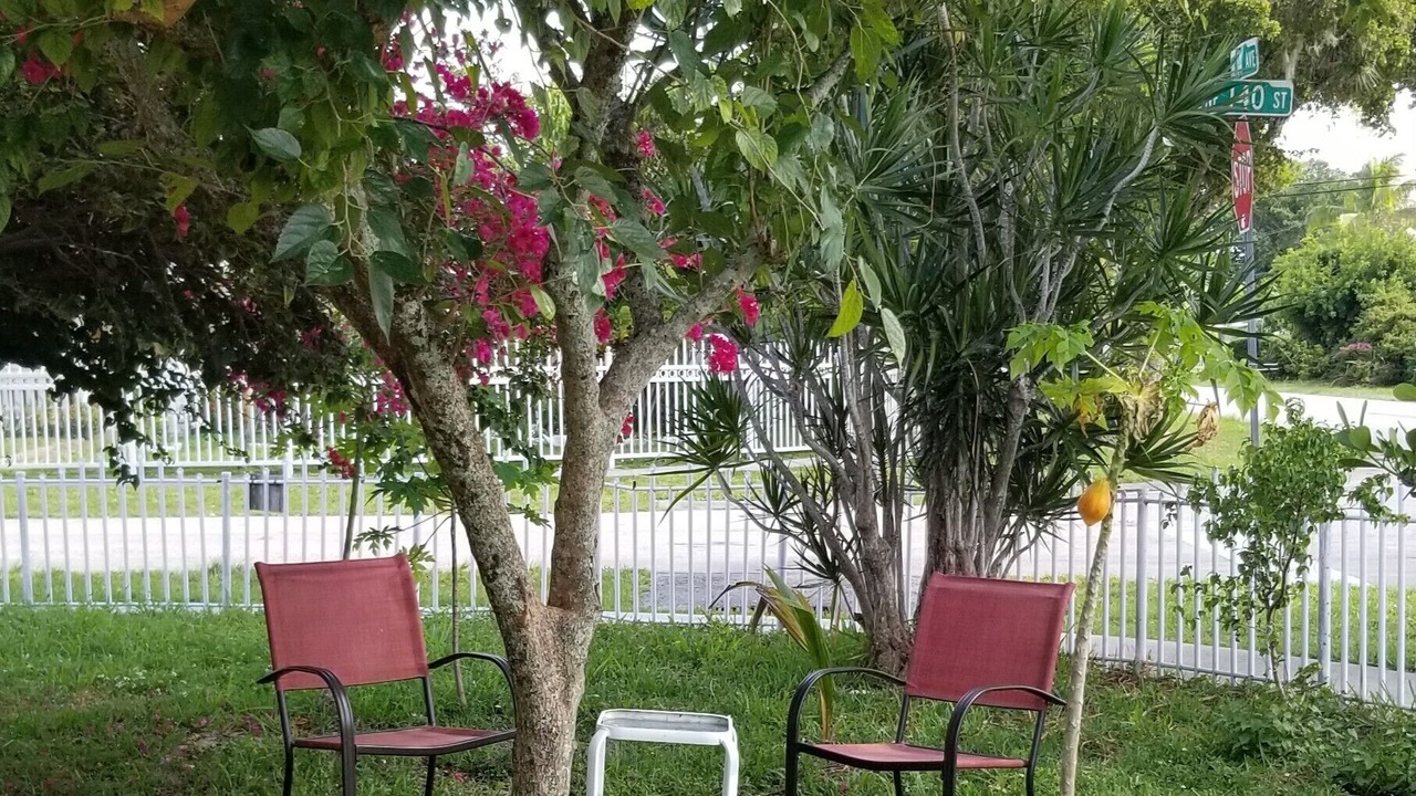 Photo of Outdoor in North Miami