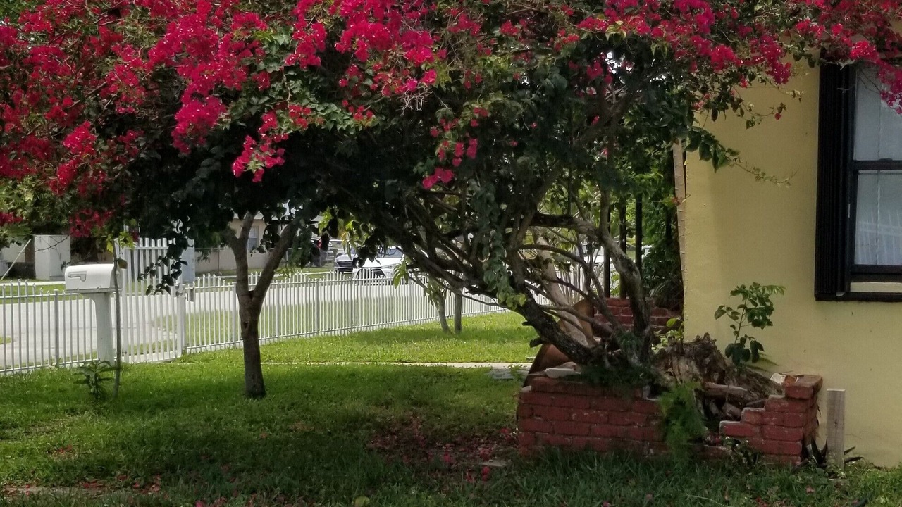 Photo of Outdoor in North Miami