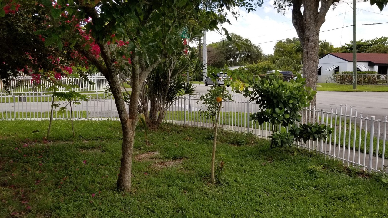 Photo of Outdoor in North Miami