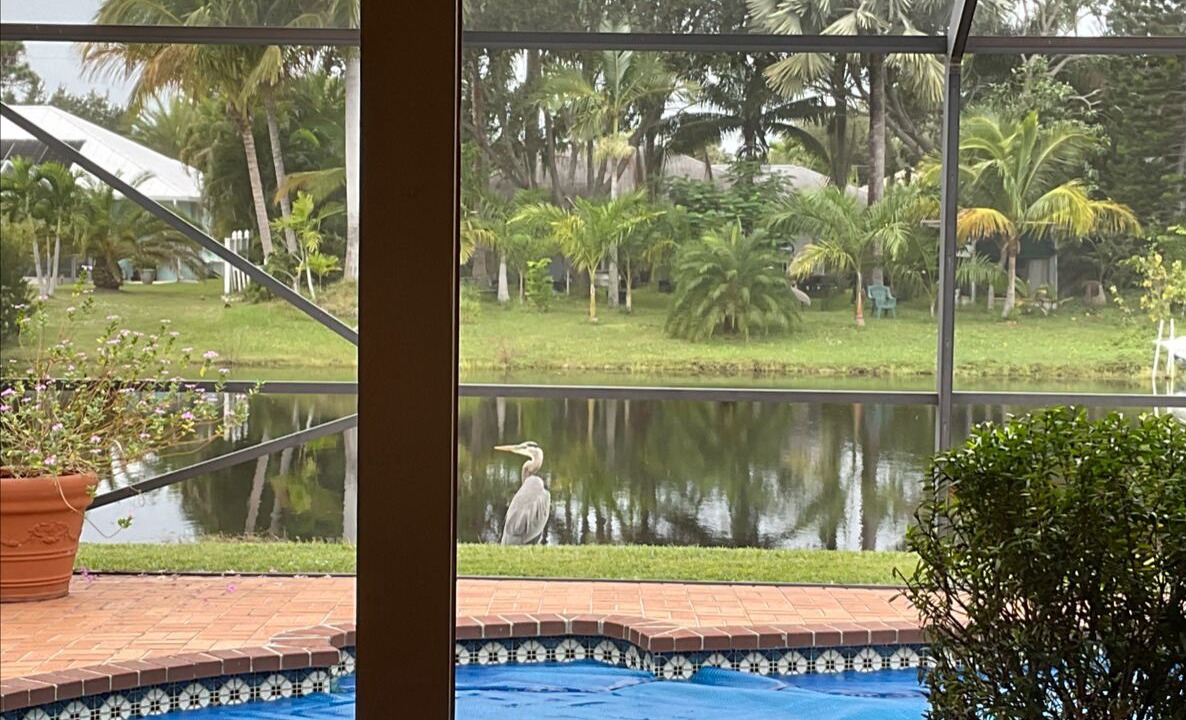 Photo of Others in Port Saint Lucie