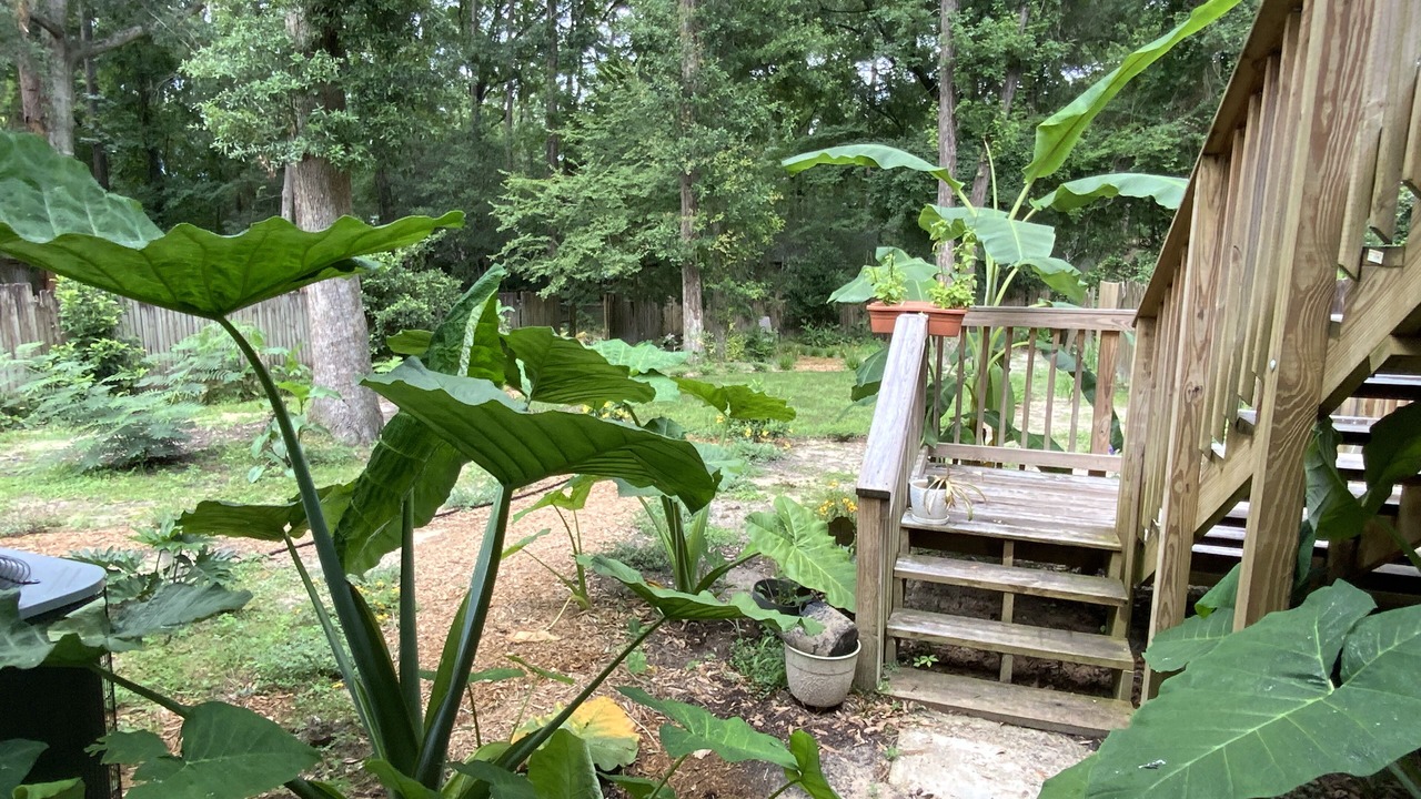 Photo of Outdoor in Tallahassee