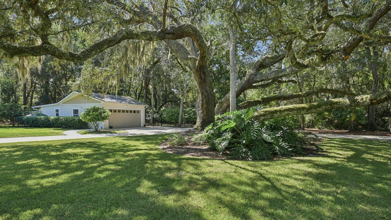Photo of Outdoor in Mandarin