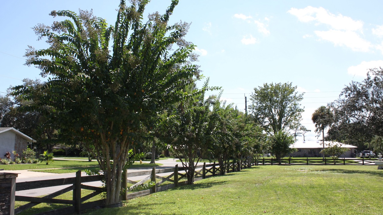 Photo of Others in Titusville
