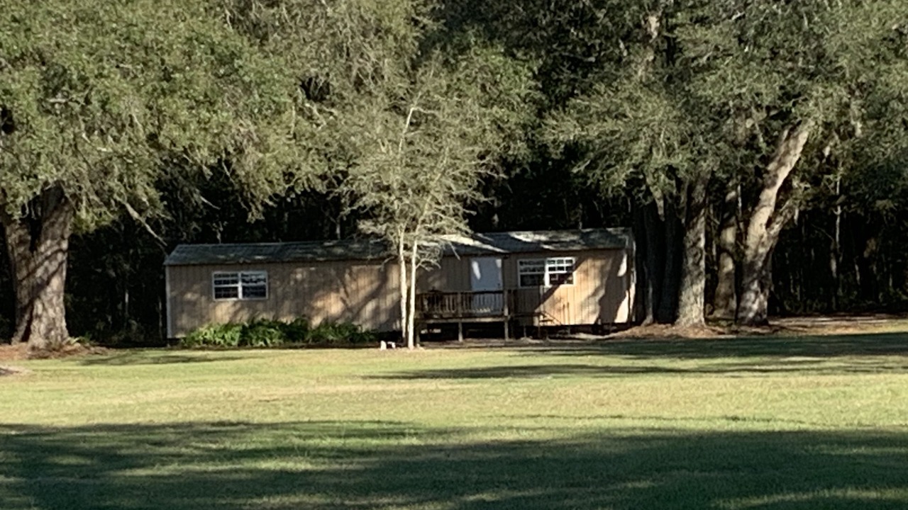Photo of Outdoor in Live Oak