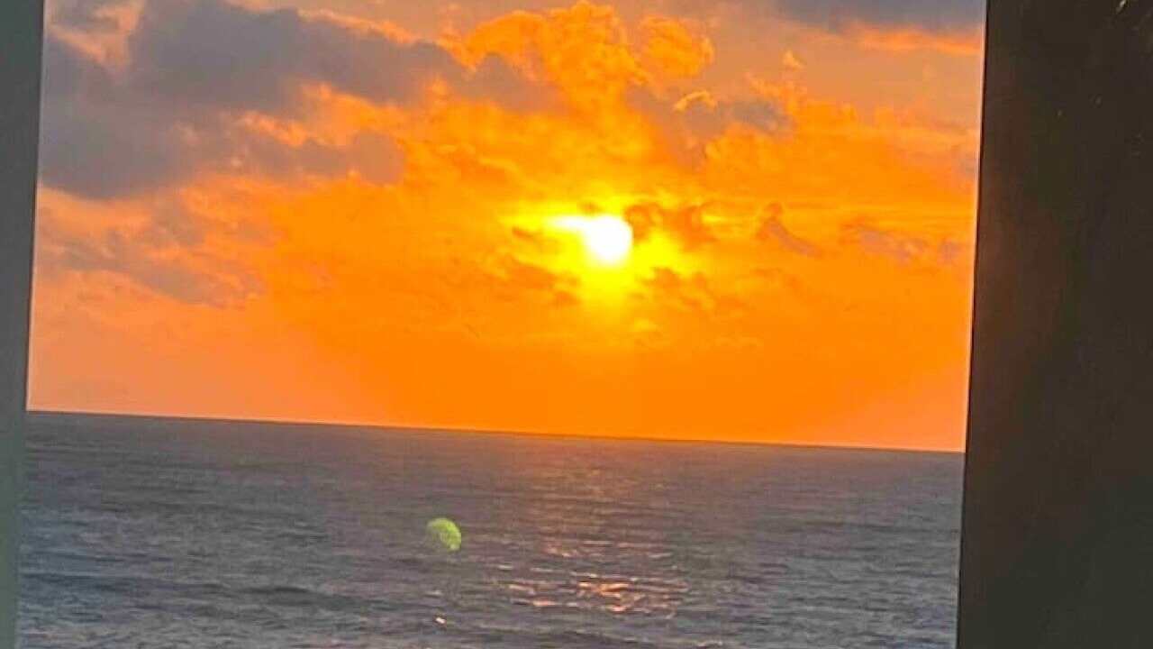 Photo of Others in Hallandale Beach