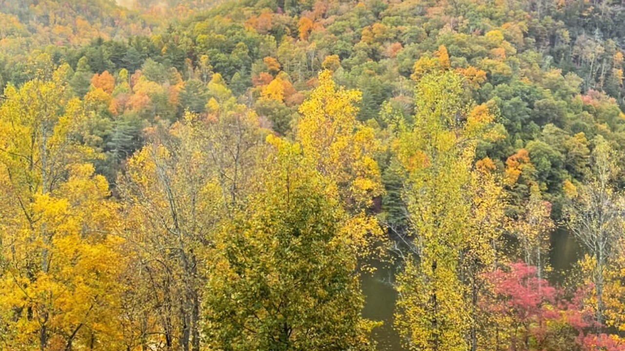 Photo of Outdoor in Bear Lake Reserve