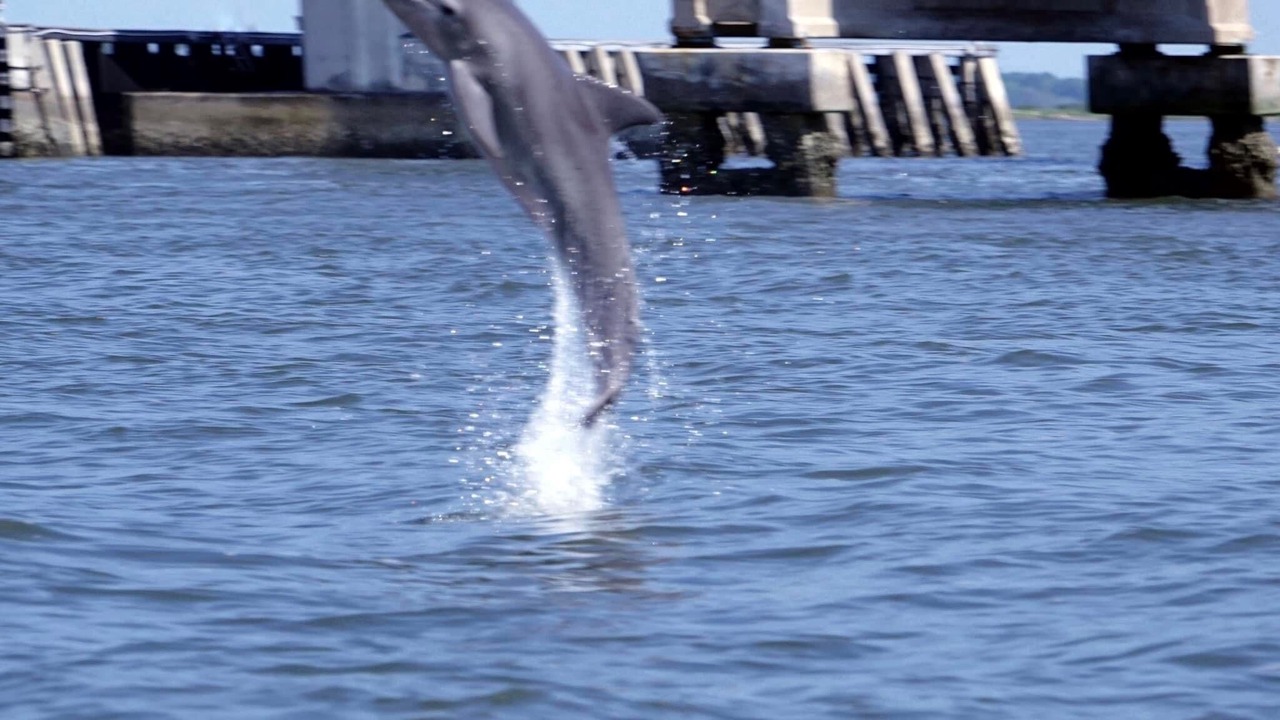 Photo of Others in Butler Beach