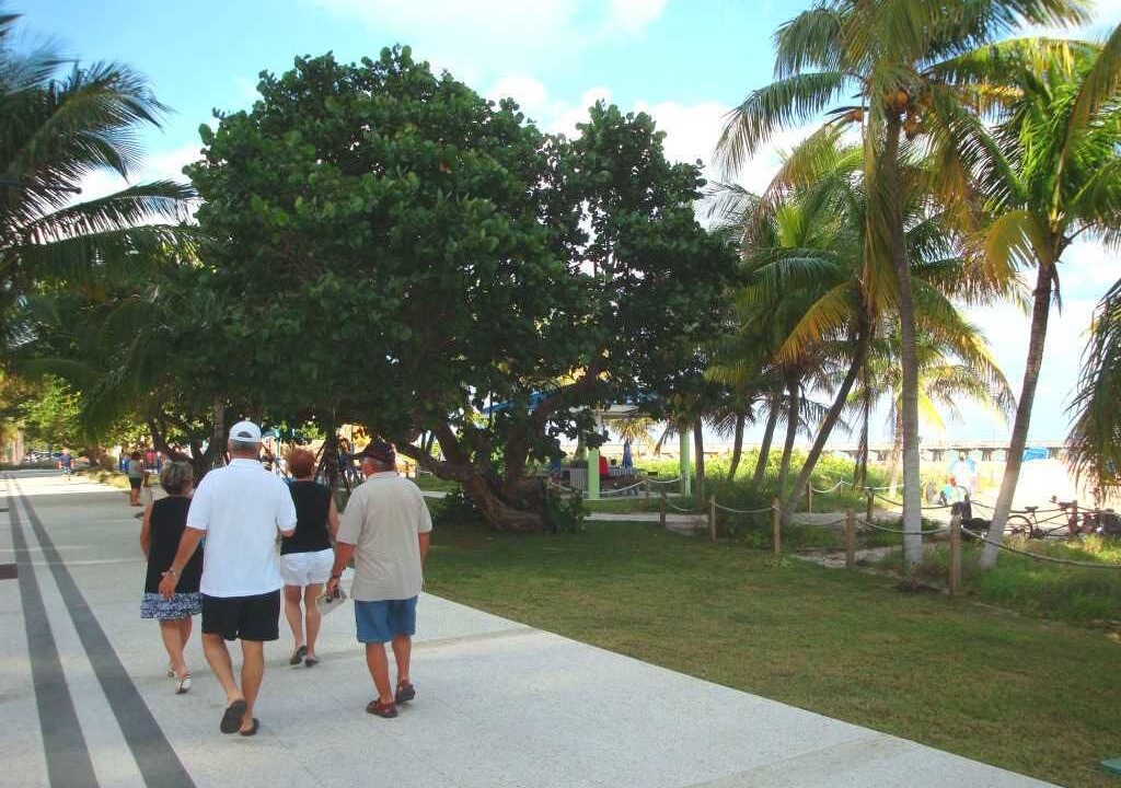 Photo of Others in Terra Mar Island Estates