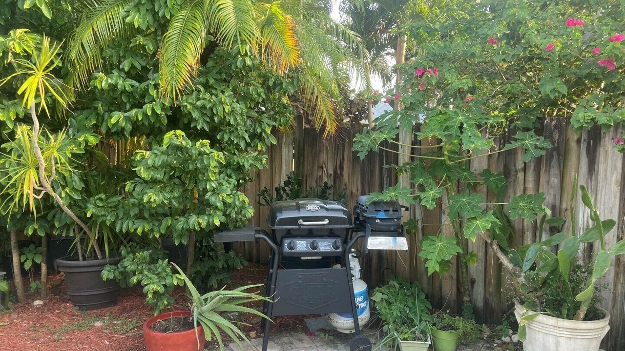 Photo of Outdoor in South Corals