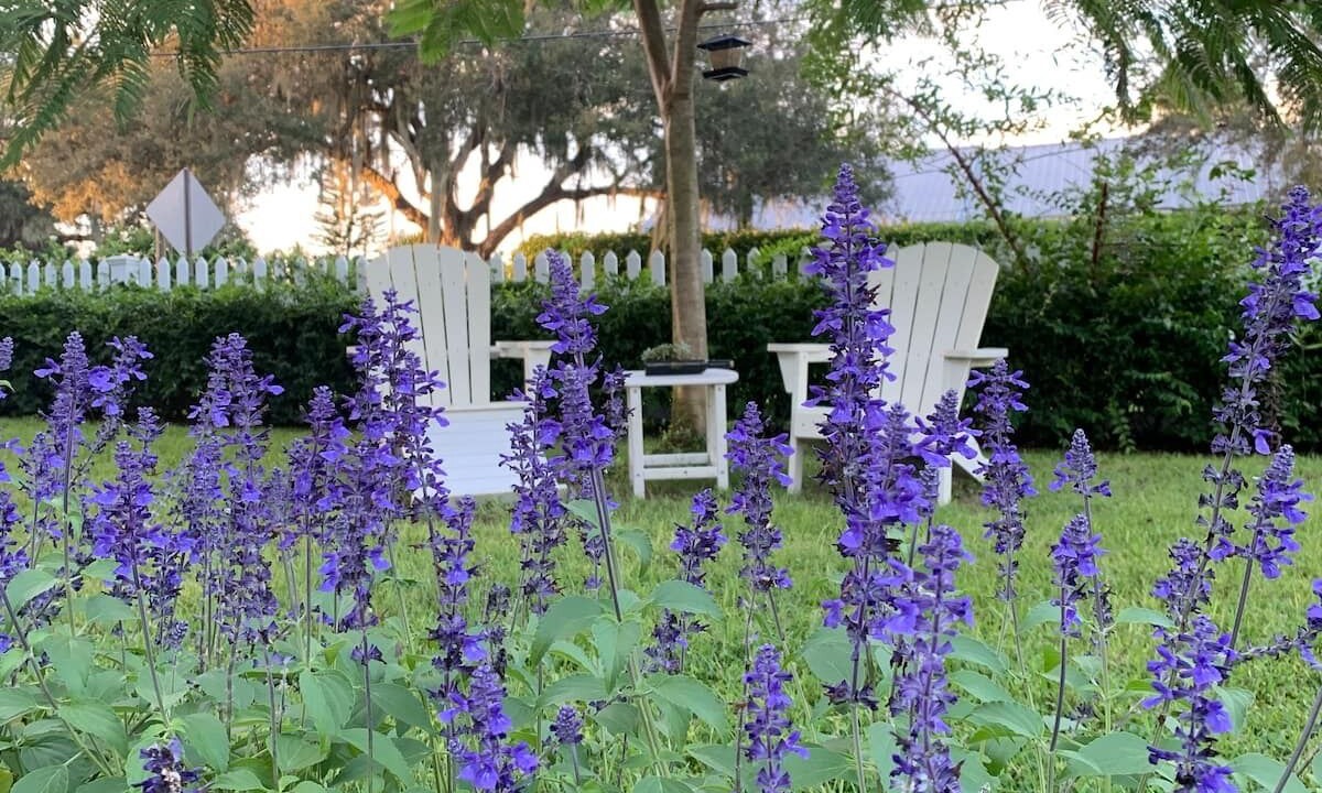 Photo of Outdoor in Florida South Atlantic Coast