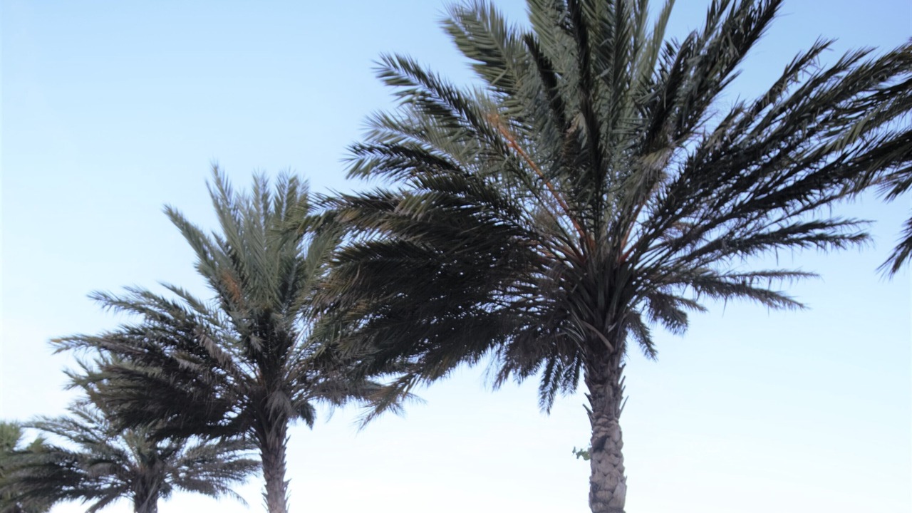 Photo of Outdoor in Bal Harbour