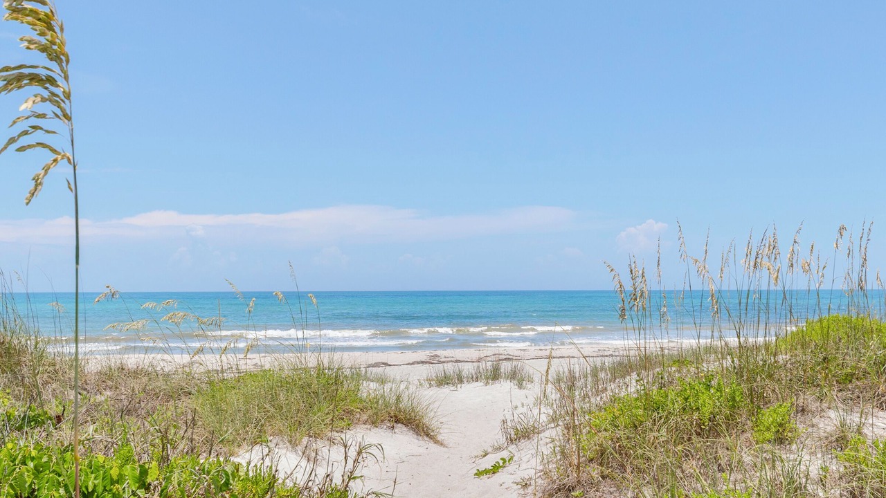 Photo of Others in Crescent Beach