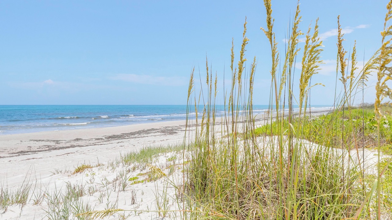 Photo of Others in Crescent Beach