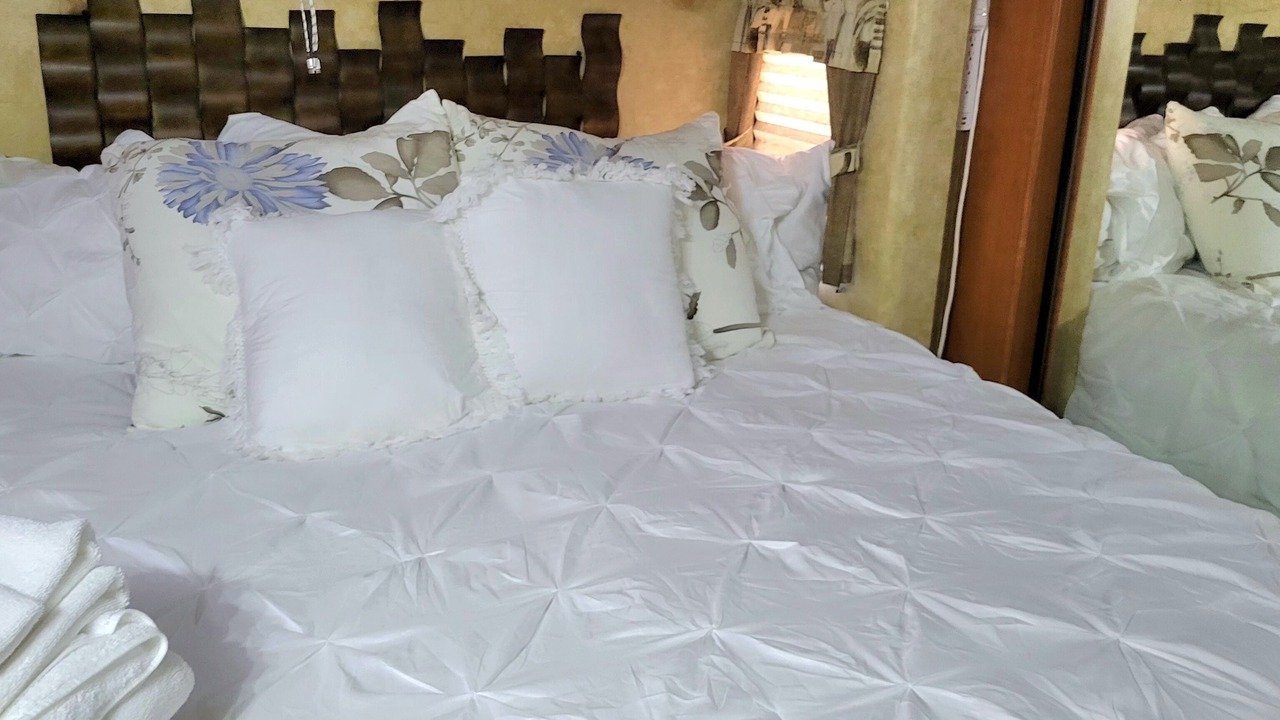 Photo of Bedroom in Bearss Plaza