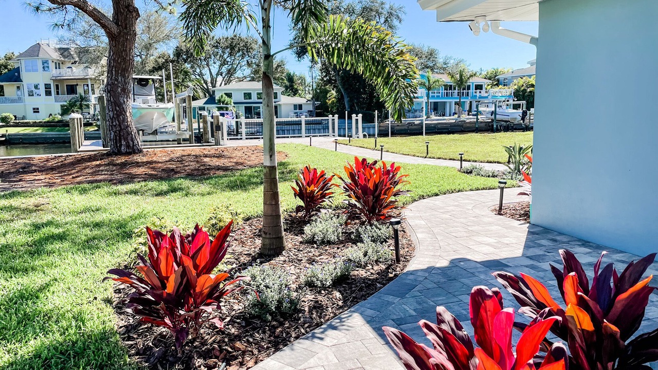 Photo of Outdoor in Palm Harbor
