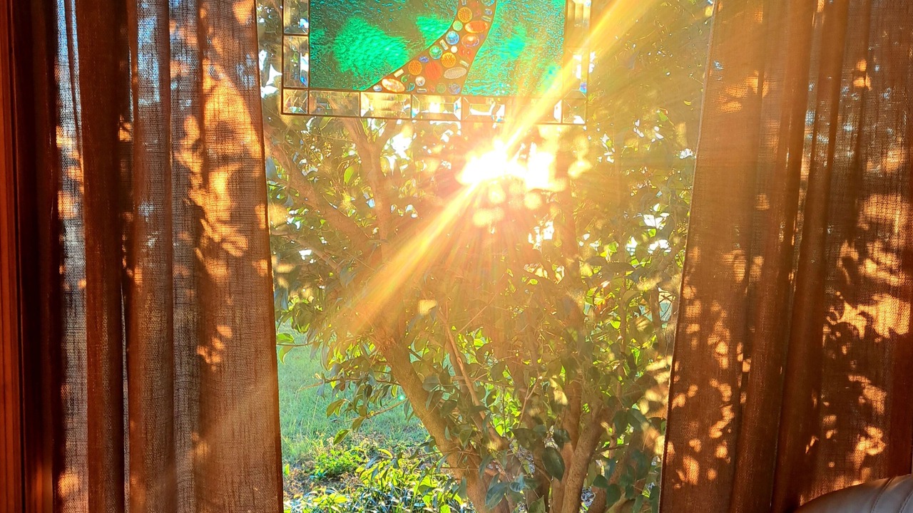 Photo of Outdoor in Mount Pleasant
