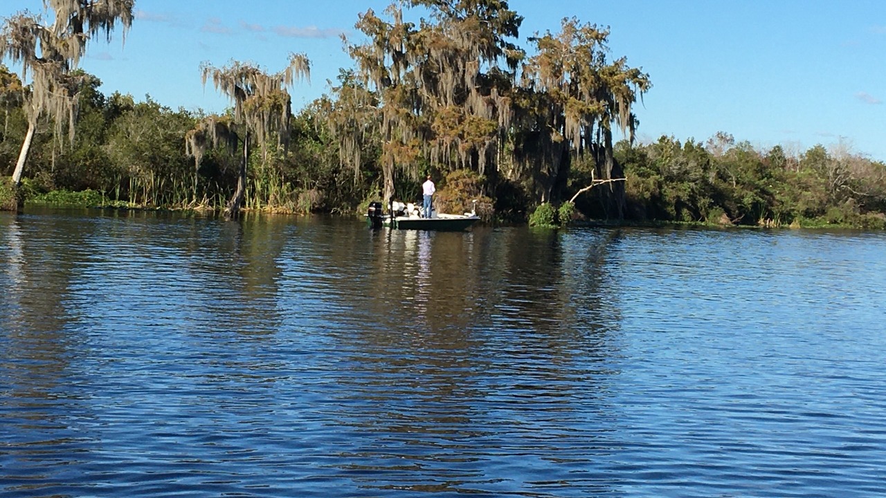 Photo of Others in Citrus Springs