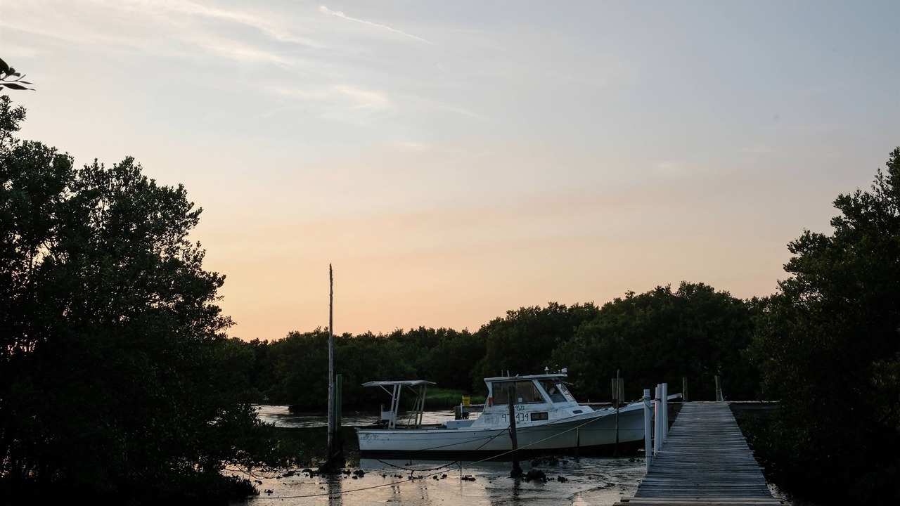 Photo of Others in Cedar Key