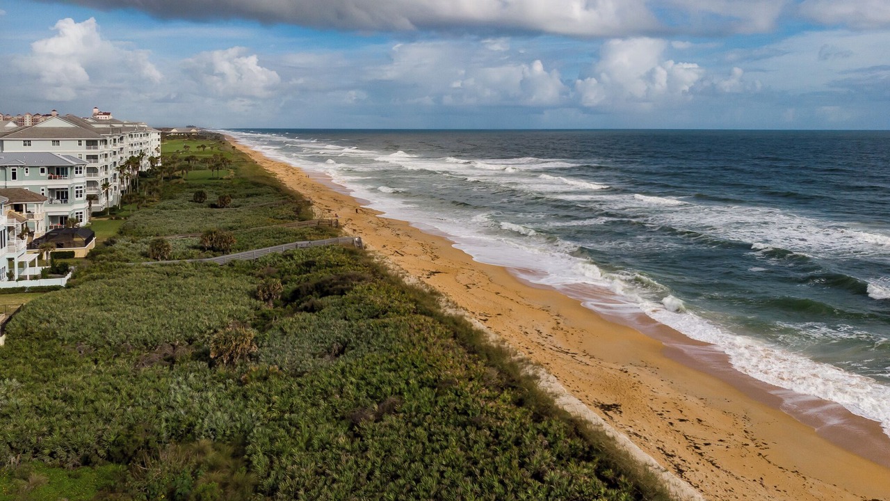 Photo of Others in Palm Coast