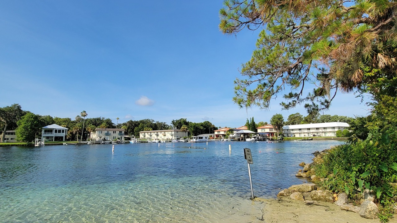 Photo of Others in Springs at Kings Bay